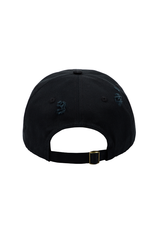 Loo Loo Land Distressed Dad Hat