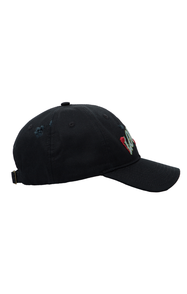 Loo Loo Land Distressed Dad Hat