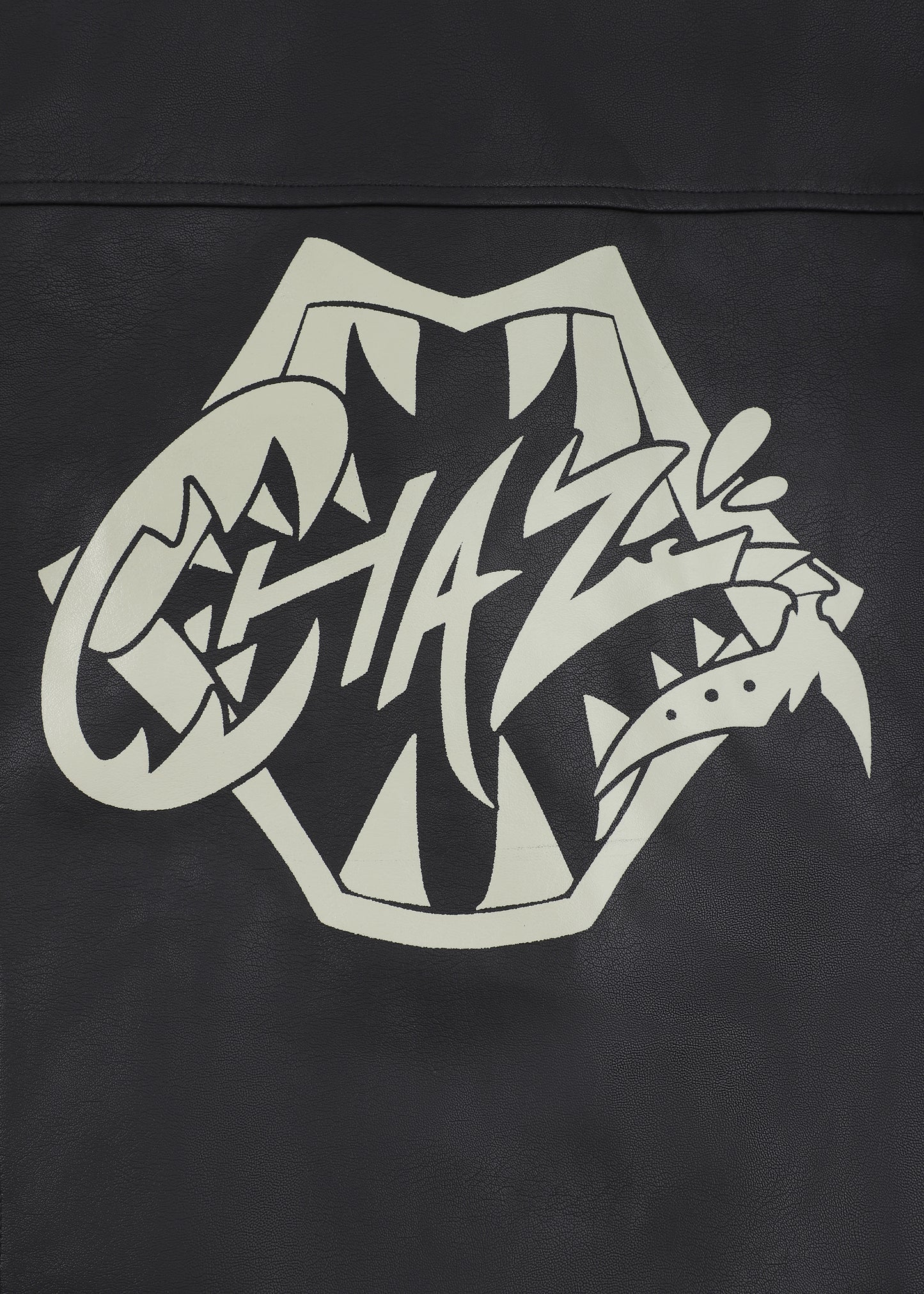 Chaz Pleather Jacket